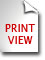 icon-print-doc.jpg